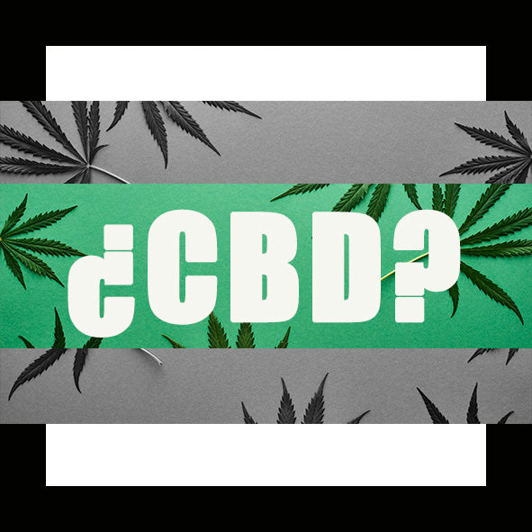 ¿Qué es el CBD?