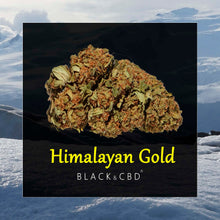 Cargar imagen en el visor de la galería, HIMALAYAN GOLD (5€/g)
